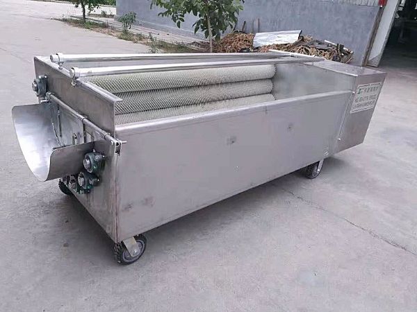 生姜乐动ledong（中国）机