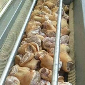 猪肘子乐动ledong（中国）效果