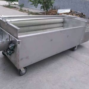 胡萝卜乐动ledong（中国）机