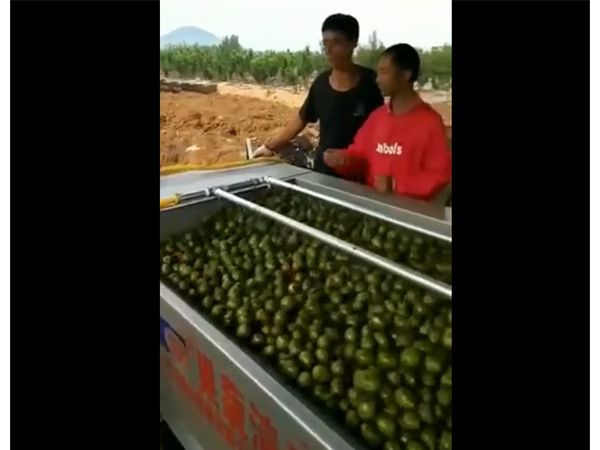 核桃去皮乐动ledong（中国）一体机视频