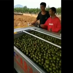 核桃去皮乐动ledong（中国）一体机视频
