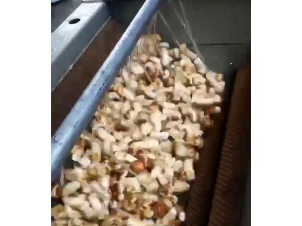 松茸乐动ledong（中国）机视频