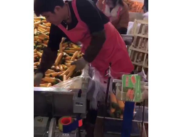 胡萝卜乐动ledong（中国）机视频