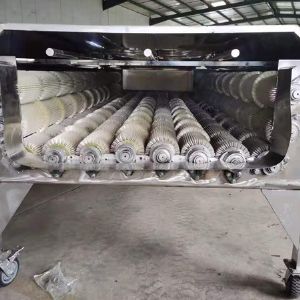 大型果蔬乐动ledong（中国）机