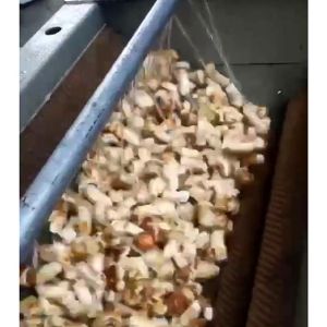 松茸乐动ledong（中国）机视频
