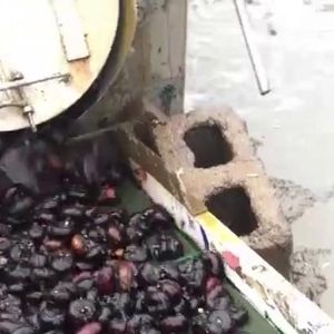 马蹄乐动ledong（中国）机视频