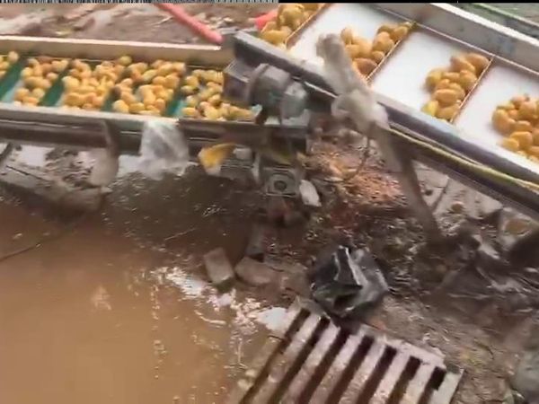 土豆乐动ledong（中国）机视频
