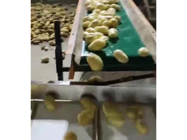土豆乐动ledong（中国）机视频