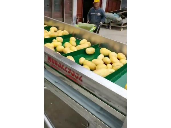 土豆乐动ledong（中国）视频