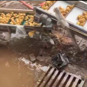 土豆乐动ledong（中国）机视频