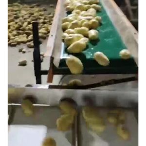 土豆乐动ledong（中国）机视频