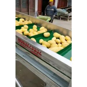 土豆乐动ledong（中国）视频