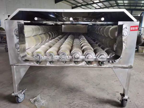 大型果蔬乐动ledong（中国）机